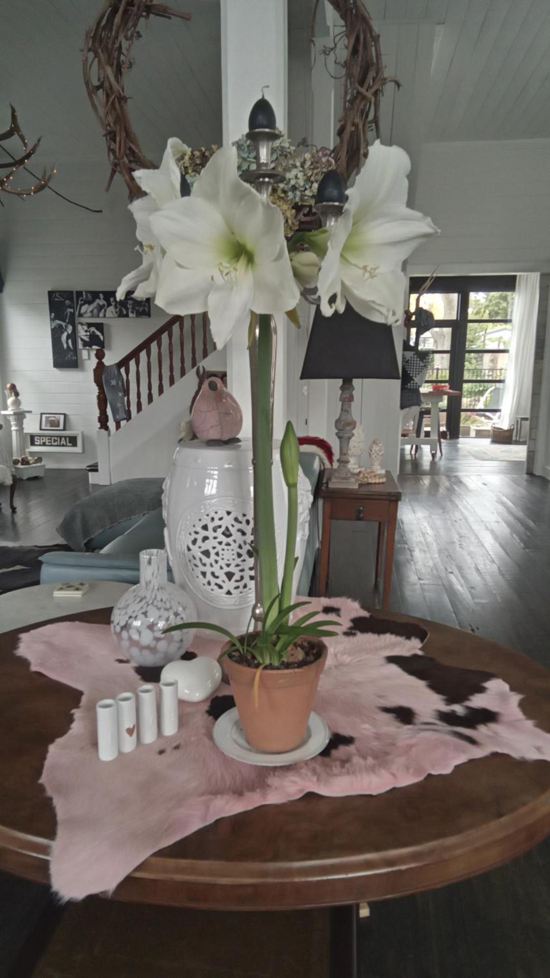 Bed and Breakfast Belle Ame Takapau Esterno foto